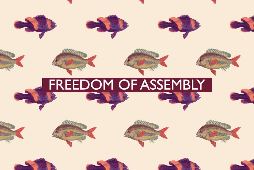 The 12th of all EU-r rights: freedom of assembly and how the Charter contributes