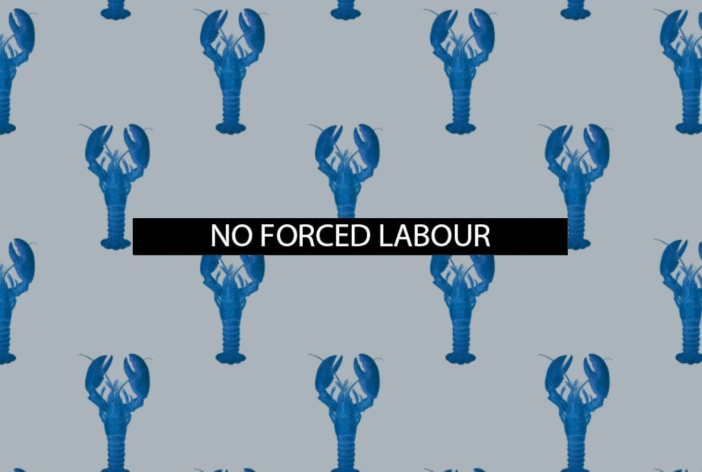 The 5th of all EU-r rights: no forced labour and how the Charter contributes