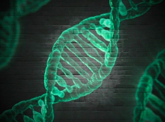 Software aus Bozen hat die genetische Forschung weltweit revolutioniert