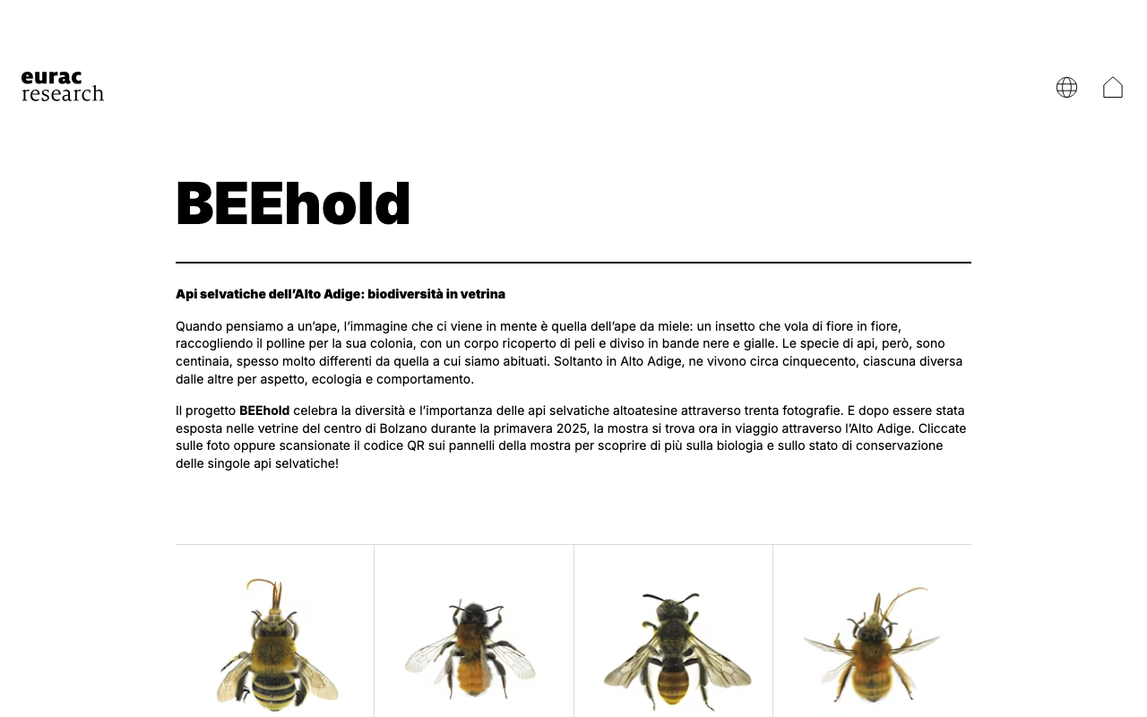 BEEhold